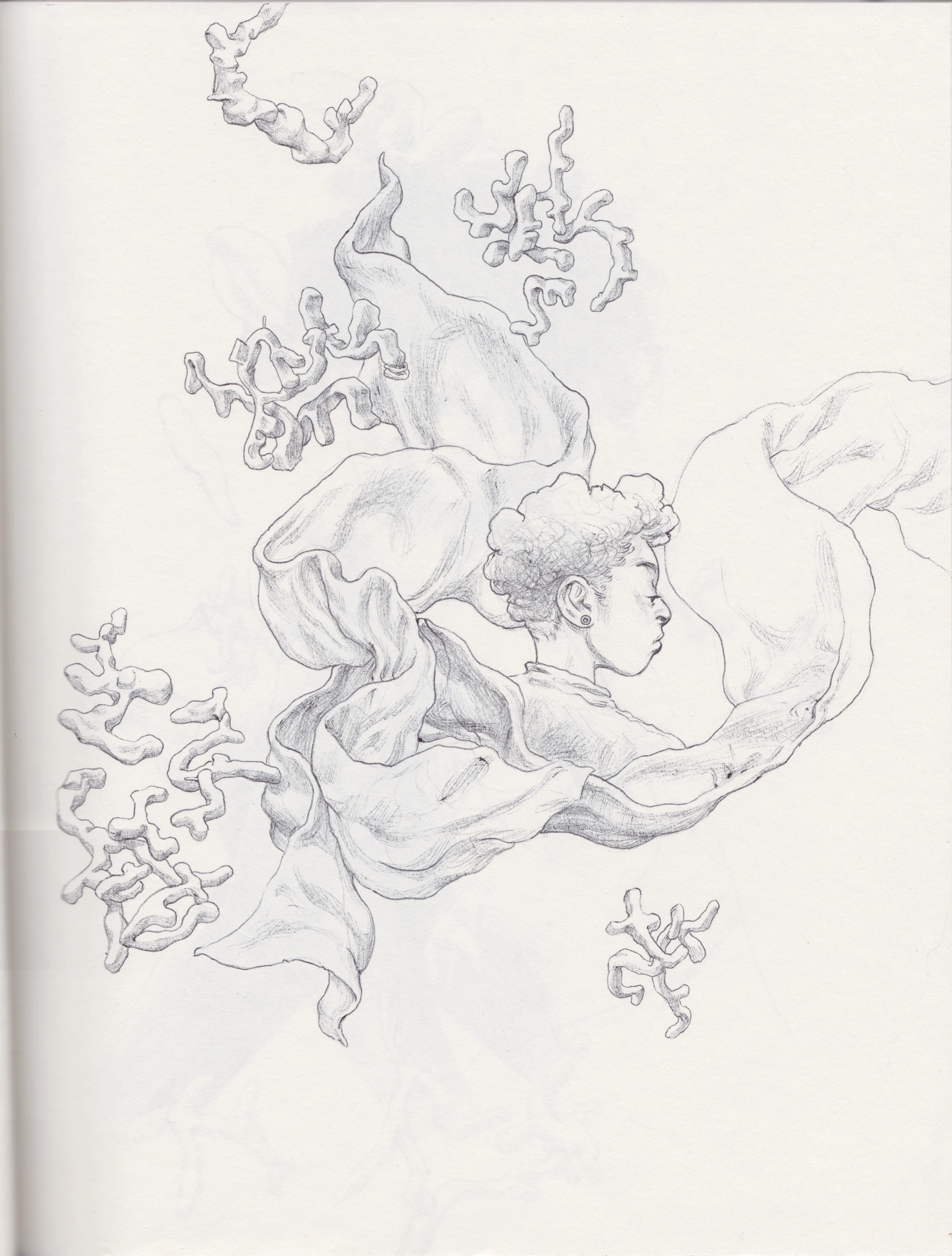 Scan 2