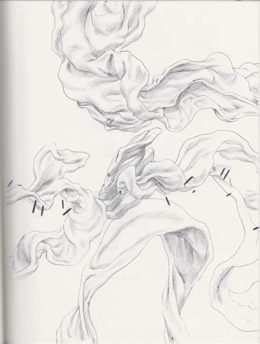 Scan 4