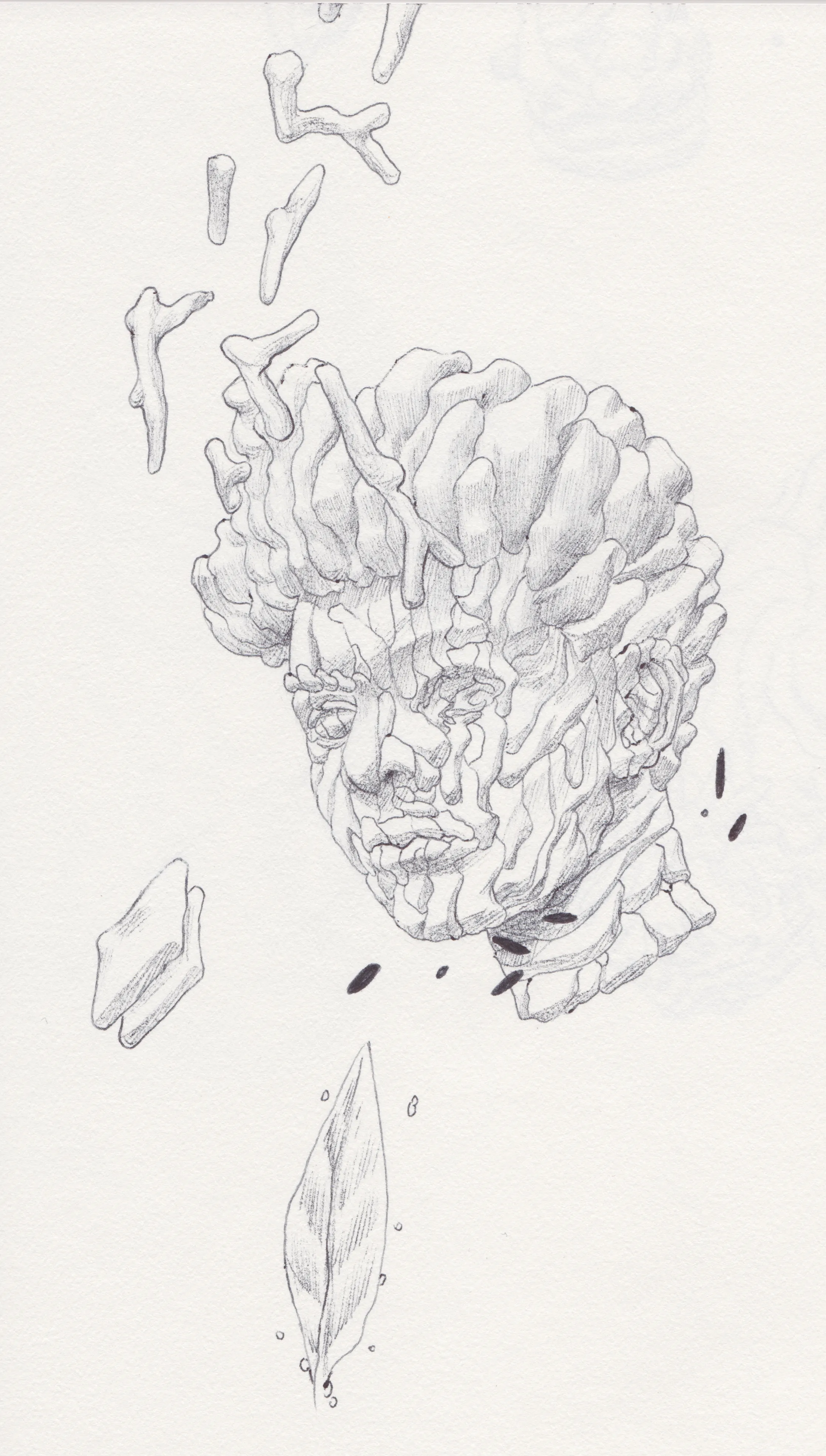 Scan 5